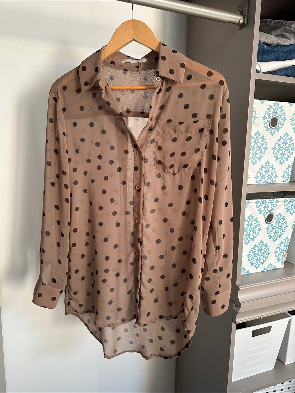 Lumiere Beige and black Sheer Polka Dot Button-Down Blouse